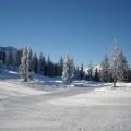 dscn02571