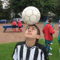 img_0008