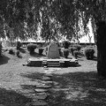 img_7294