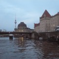 p10203151